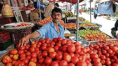 The months of July-August and October-November typically experience lower tomato production, contributing to the current scarcity. (HT Photo) The months of July-August and October-November typically experience lower tomato production, contributing to the current scarcity. (HT Photo)