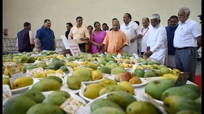 Uttar Pradesh CM Yogi Adityanath at Uttar Pradesh Mango Festival 2023 in Lucknow on July 14. (HT photo) Uttar Pradesh CM Yogi Adityanath at Uttar Pradesh Mango Festival 2023 in Lucknow on July 14. (HT photo)