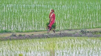 Women comprise nearly half of the world’s population, and in most developing countries, produce between 60 and 80% of the food; and yet, they account for about 50% of the world’s extremely poor. (HT) Women comprise nearly half of the world’s population, and in most developing countries, produce between 60 and 80% of the food; and yet, they account for about 50% of the world’s extremely poor. (HT)