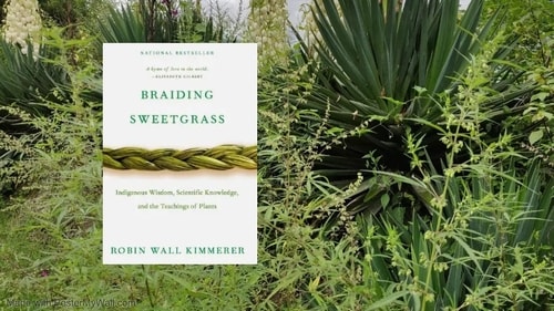 Braiding Sweetgrass by Robin Wall Kimmerer (The Author) Braiding Sweetgrass by Robin Wall Kimmerer (The Author)