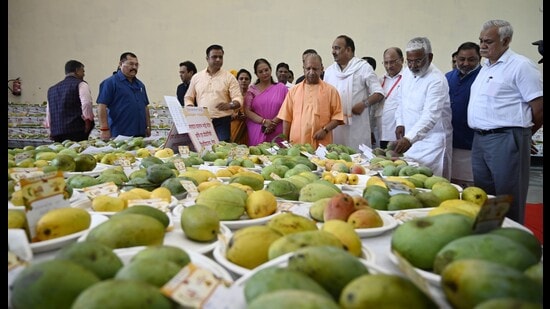 Uttar Pradesh CM Yogi Adityanath at Uttar Pradesh Mango Festival 2023 in Lucknow on July 14. (HT photo)