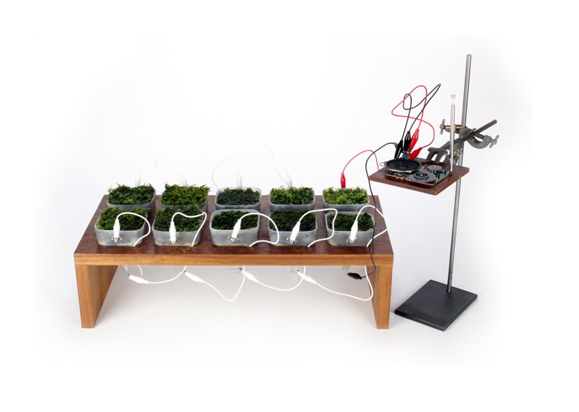 The radio receiver Moss FM is run on a rechargeable battery charged by moss cells. (Materiability Research Group) The radio receiver Moss FM is run on a rechargeable battery charged by moss cells. (Materiability Research Group)