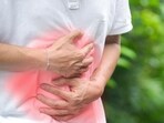 Gut bacteria linked to fatty deposits in heart arteries: Research Gut bacteria linked to fatty deposits in heart arteries: Research