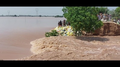 In Punjab, the river’s embankments in Rorki village of Sardulgarh sub-division and near Chandpura Bundh in Budhlada sub-division gave way, leading to panic in several villages of Mansa district (HT Photo) In Punjab, the river’s embankments in Rorki village of Sardulgarh sub-division and near Chandpura Bundh in Budhlada sub-division gave way, leading to panic in several villages of Mansa district (HT Photo)