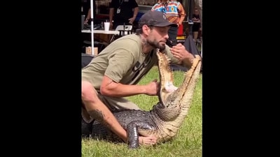 The image shows a man putting his hand inside a crocodile's mouth. (Reddit/@JPPT1974) The image shows a man putting his hand inside a crocodile's mouth. (Reddit/@JPPT1974)
