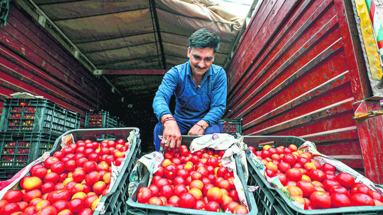 ₹80/kg: Govt further reduces tomato rates - Vimarsana News