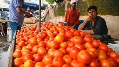 People buying the tomato in a vegetable market (HT/Representative) People buying the tomato in a vegetable market (HT/Representative)