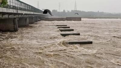 Around 25,000 people have been displaced or affected by rising water levels of the river in the past week (File Photo) Around 25,000 people have been displaced or affected by rising water levels of the river in the past week (File Photo)