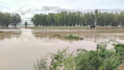 Flooding near Labkari village of Karnal district due to Yamuna river. (HT File) Flooding near Labkari village of Karnal district due to Yamuna river. (HT File)