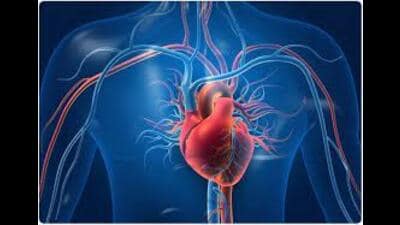Heart sends many signals before failure, say cardiologists in an interactive session in Lucknow on Sunday. (Pic for representation) Heart sends many signals before failure, say cardiologists in an interactive session in Lucknow on Sunday. (Pic for representation)