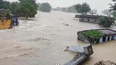 Over 4,168 hectares of cropland are submerged currently and 72,315 domestic animals are affected by the flood water (File Photo) Over 4,168 hectares of cropland are submerged currently and 72,315 domestic animals are affected by the flood water (File Photo)