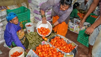 Tomatoes were sold from anywhere between ₹80 per kg to ₹200 per kg. (PTI file) Tomatoes were sold from anywhere between ₹80 per kg to ₹200 per kg. (PTI file)