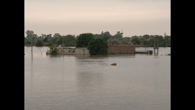 The flood water has entered 15 villages of Mansa district and six villages have been inundated (HT Photo) The flood water has entered 15 villages of Mansa district and six villages have been inundated (HT Photo)
