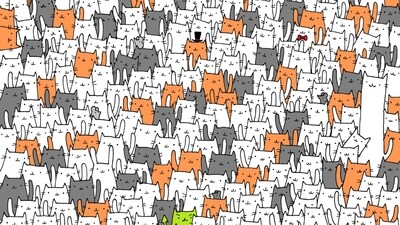 Brain Teaser: Can you find a bunny hidden in plain sight among cats? (Facebook/@thedudolf)