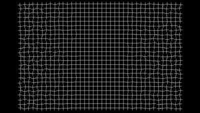 If you stare at the centre of this optical illusion for several seconds, the distorted lines will appear straight. (Ryota Kanai) If you stare at the centre of this optical illusion for several seconds, the distorted lines will appear straight. (Ryota Kanai)