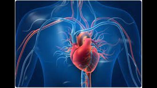 Heart sends many signals before failure, say cardiologists in an interactive session in Lucknow on Sunday. (Pic for representation)