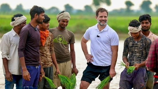 Congress leader Rahul Gandhi with farmers at a farm in Sonipat district, Saturday, July 8. (PTI/ Congress)