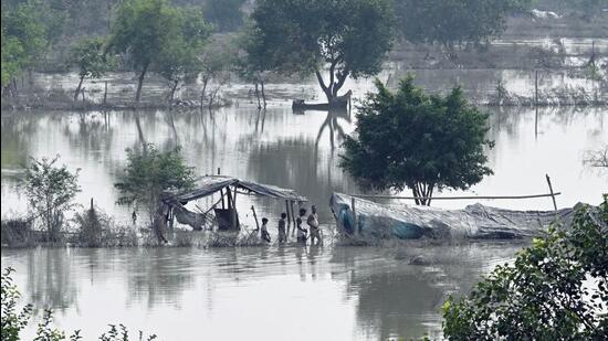 The weekly Van Mahotsav plantation drive was to take place along the Yamuna floodplains. (Sanjeev Verma/HT)