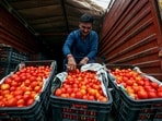 Tomato prices are at a record high across India. (FILE PHOTO) Tomato prices are at a record high across India. (FILE PHOTO)