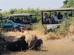 The image captures a dramatic moment in Masai Mara as a lion attacks a buffalo.