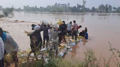 An official pleading anonymity said there were total 68 breaches in the 40-km stretch of the Ghaggar in Sangrur. (File photo)