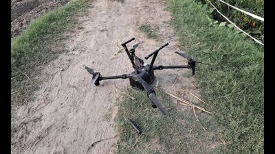 At least 244 drones have been spotted in Punjab this year so far.