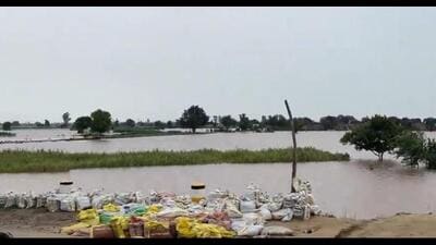 Flood situation worsened with two more breaches in the overflowing Ghaggar in Mansa district on Monday. With this, flood waters started entering villages in the district from four breaches, triggering panic Flood situation worsened with two more breaches in the overflowing Ghaggar in Mansa district on Monday. With this, flood waters started entering villages in the district from four breaches, triggering panic