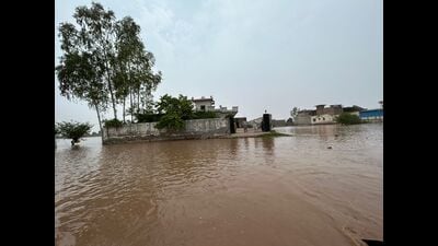Sharing details, head of the Sarbat Da Bhala Charitable Trust SP Singh Oberoi said during the floods, it had come to the fore that some people’s homes had either collapsed or had been rendered uninhabitable after the floodwater entered their houses.