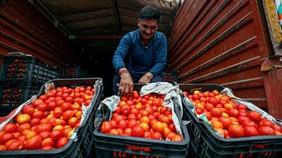 Tomato prices are at a record high across India. (FILE PHOTO) Tomato prices are at a record high across India. (FILE PHOTO)