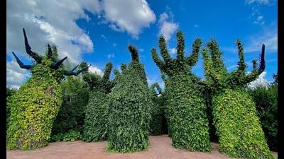 Trees in the Surrealist Garden in Hamilton Gardens, New Zealand. (Shutterstock)