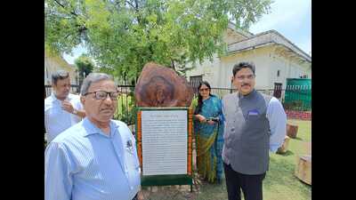 Wooden log which is over 100 years old, has also become a part of the heritage point. (HT Photo)