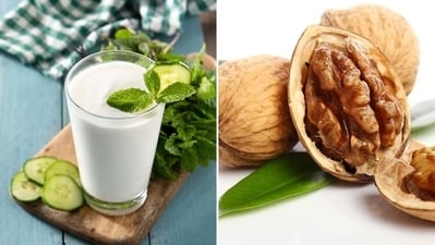 Introducing healthy bacteria or probiotics to your gut is another effective health strategy people must follow during rainy season. (Freepik) Introducing healthy bacteria or probiotics to your gut is another effective health strategy people must follow during rainy season. (Freepik)