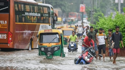 Commuters make their way through a flooded water of Yamuna river near ISBT Kashmere Gate in New Delhi on Friday. (ANI) Commuters make their way through a flooded water of Yamuna river near ISBT Kashmere Gate in New Delhi on Friday. (ANI)