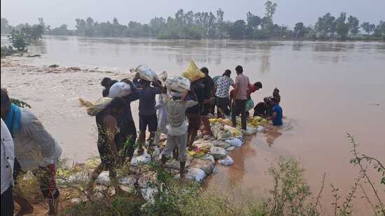 An official pleading anonymity said there were total 68 breaches in the 40-km stretch of the Ghaggar in Sangrur. (File photo)