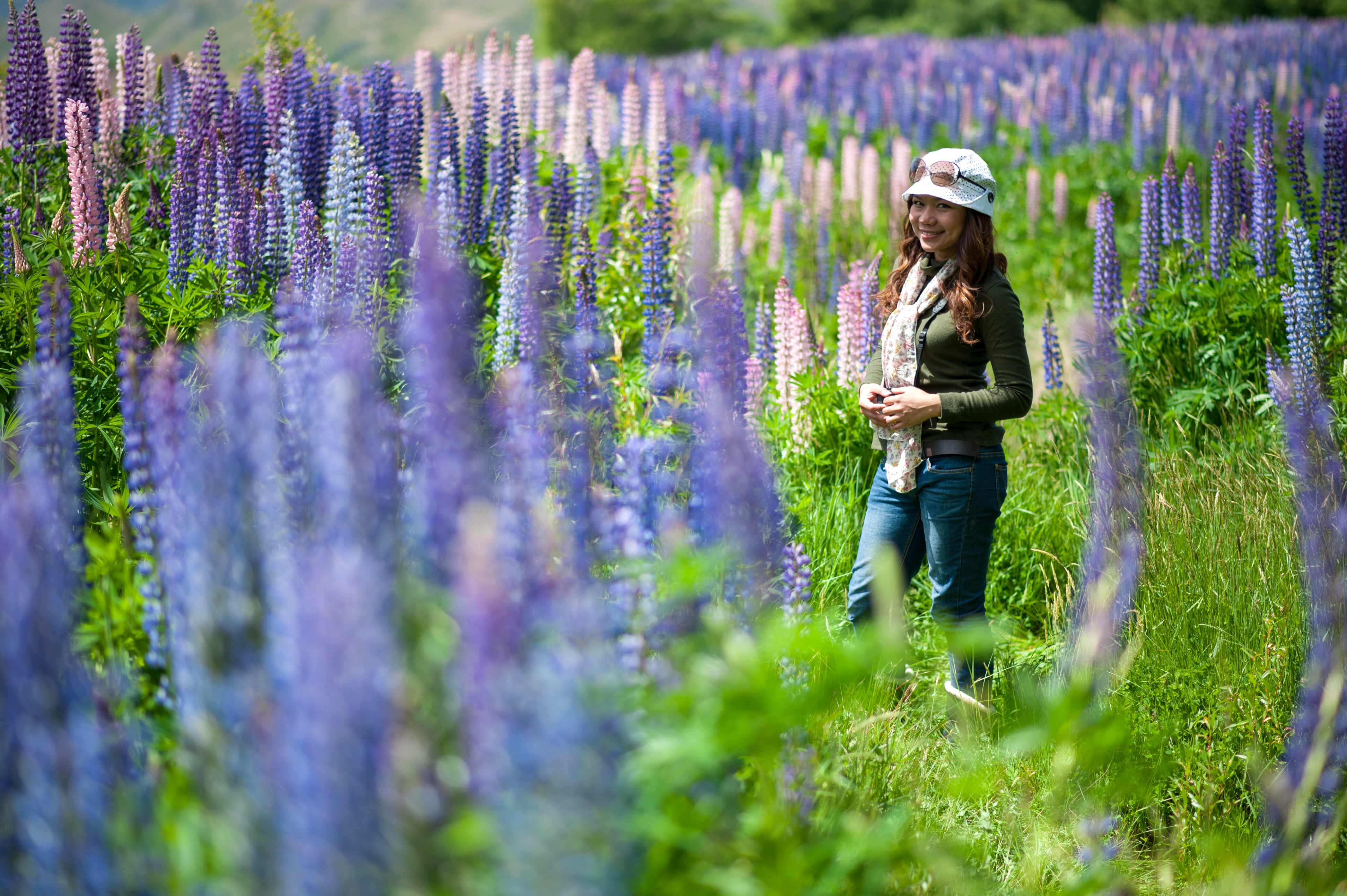 In a lupin garden in south New Zealand. (Shutterstock)