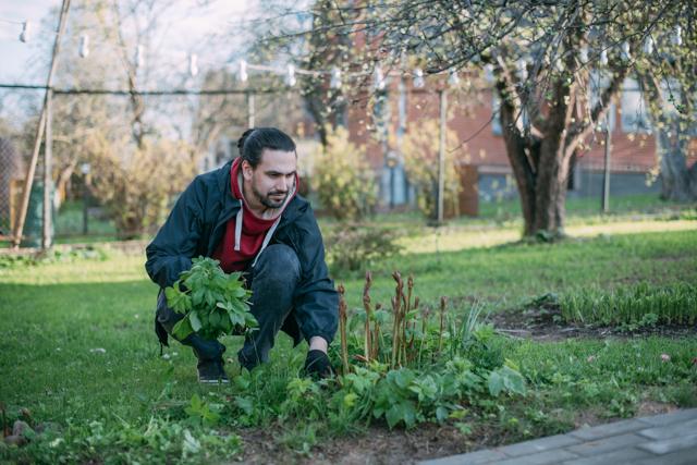 The solace of gardening (Shutterstock)
