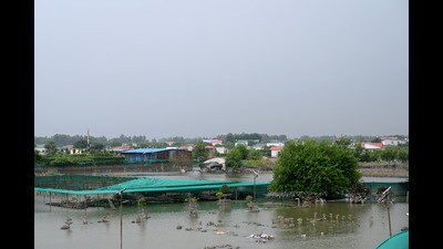 At least 2000 farmhouses located on the floodplains in Noida which were allegedly illegally built, were inundated under flooding waters of Yamuna, in Noida. (Sunil Ghosh/HT Photo) At least 2000 farmhouses located on the floodplains in Noida which were allegedly illegally built, were inundated under flooding waters of Yamuna, in Noida. (Sunil Ghosh/HT Photo)