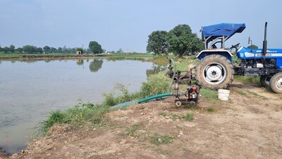 Even as water has receded from most of the affected areas in Haryana, farmers’ woes are far from over as the sand deposited by the floods pose a serious threat to the standing paddy crop, leaving thousands of cultivators of northern districts high and dry. (HT Photo) Even as water has receded from most of the affected areas in Haryana, farmers’ woes are far from over as the sand deposited by the floods pose a serious threat to the standing paddy crop, leaving thousands of cultivators of northern districts high and dry. (HT Photo)