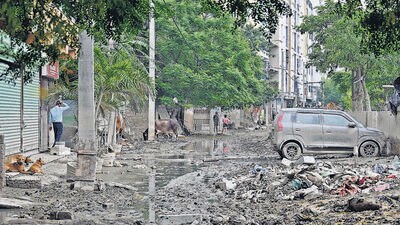 Majnu ka Tilla covered in sludge on Tuesday. (Sanjeev Verma/HT PHOTO) Majnu ka Tilla covered in sludge on Tuesday. (Sanjeev Verma/HT PHOTO)