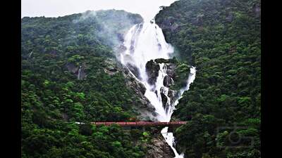 The Dudhsagar waterfall in Goa is a prime tourist attraction, attracting visitors from across the country and the world (Wikimedia Commons) The Dudhsagar waterfall in Goa is a prime tourist attraction, attracting visitors from across the country and the world (Wikimedia Commons)