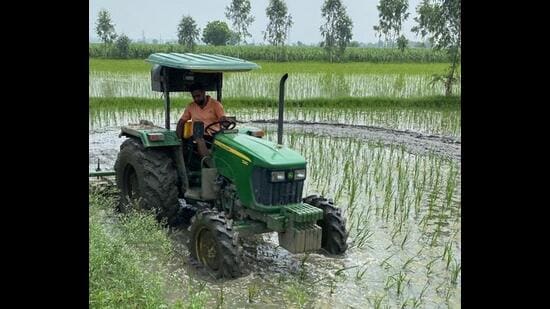 As farmers in several parts of the state are struggling to protect their crop from the impact of floods, a group of farmers have together to help their fellows. (HT Photo)