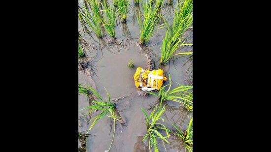 Border Security Force (BSF) Punjab seized 2.35 kg of heroin after hearing the sound of a Pakistan drone near the International Border in Tarn Taran on Tuesday. (ANI)