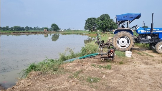 Even as water has receded from most of the affected areas in Haryana, farmers’ woes are far from over as the sand deposited by the floods pose a serious threat to the standing paddy crop, leaving thousands of cultivators of northern districts high and dry. (HT Photo)