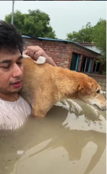 A screengrab from a video circulating on social media, which shows Anupam Mehta saving dogs at a flooded animal shelter. (Photo: Instagram)