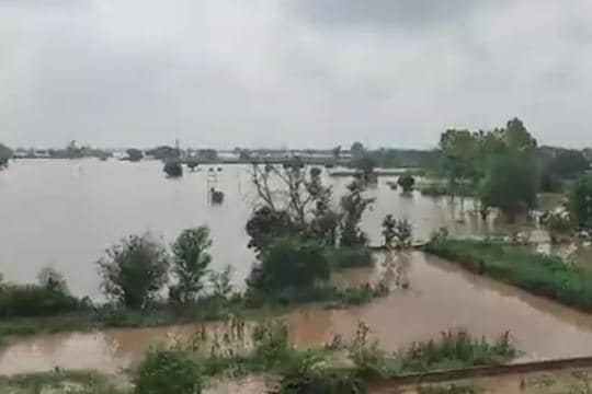 Inundated fields after the fifth breach at Phus Mandi in Sardulgarh sub-division of Mansa district on Tuesday. (HT Photo) Inundated fields after the fifth breach at Phus Mandi in Sardulgarh sub-division of Mansa district on Tuesday. (HT Photo)