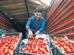 Consumers will be able to buy tomatoes at the revised rates starting Thursday, a government release said.