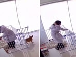 The image shows the dog and the human inside the pet fence. 