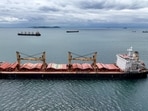Amfitriti, a bulk carrier part of the Black Sea grain deal, and other commercial vessels wait to pass the Bosphorus strait off the shores of Yenikapi. 