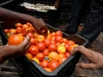 People buying tomatoes from the straw imposed by the Government of India for ? 80 per kg tomatoes in sector 4, in Noida. (Photo by Sunil Ghosh / Hindustan Times) 