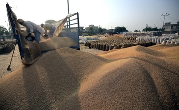 To be sure, India is not the only place of concern vis-à-vis food security, as the report paints a bleak view of access to quality food worldwide